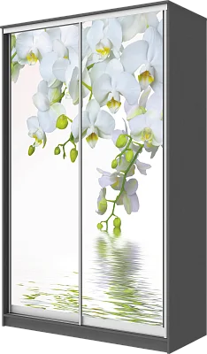картинка Шкаф-купе 2-х дверный с фотопечатью Белая орхидея 2300 1682 420 от магазина КУПИ КУПЕ